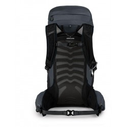 Talon 33 (2)