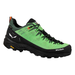 Alp Trainer 2 GTX Men