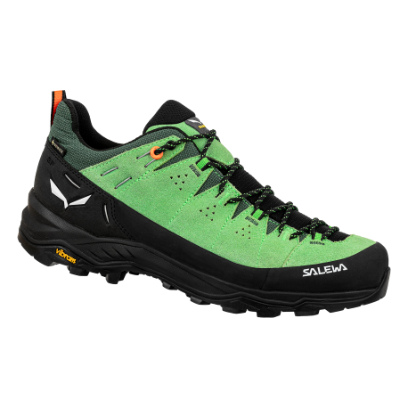 Salewa - Alp Trainer 2 GTX Men