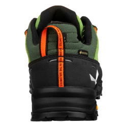 Alp Trainer 2 GTX Men