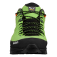 Alp Trainer 2 GTX Men