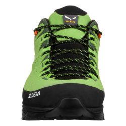 Alp Trainer 2 GTX Men