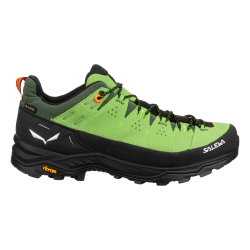 Alp Trainer 2 GTX Men