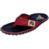 navy coast
