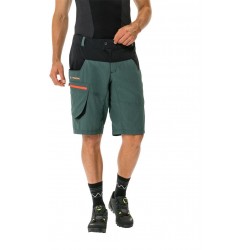 Men's Qimsa Shorts (7)