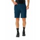 Men's Scopi LW Shorts II