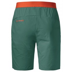 Men's Scopi LW Shorts II