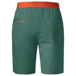 Men's Scopi LW Shorts II (1)