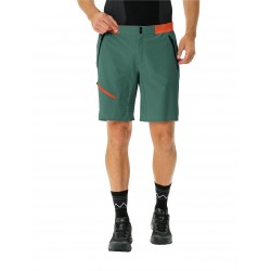 Men's Scopi LW Shorts II (3)