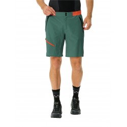 Men's Scopi LW Shorts II