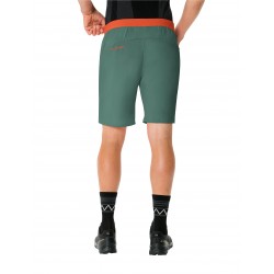 Men's Scopi LW Shorts II