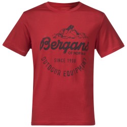 Bergans - Graphic Wool Tee