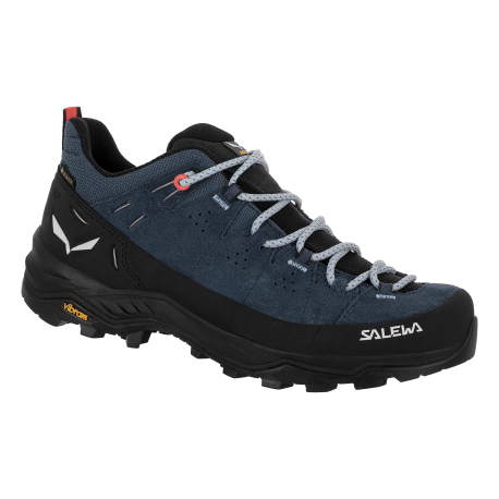 ALP TRAINER 2 GTX W