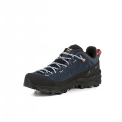 ALP TRAINER 2 GTX W (2)