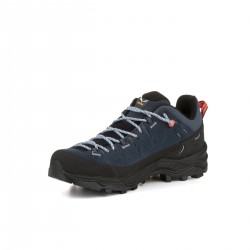 ALP TRAINER 2 GTX W