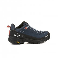 ALP TRAINER 2 GTX W