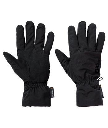 ALPSPITZE MERINO GLOVE