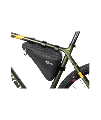 MOROBBIA TRIANGLE BAG (2)
