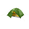 cactus green