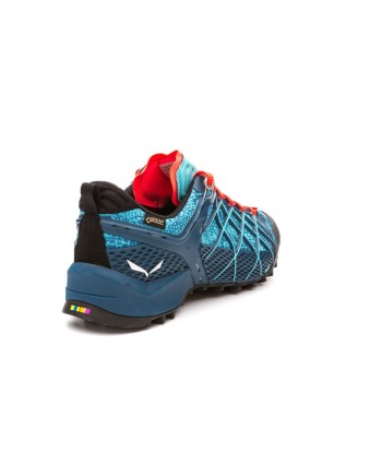 WS WILDFIRE GTX (2)