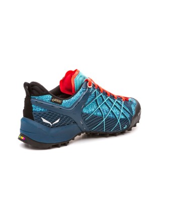 WS WILDFIRE GTX (3)
