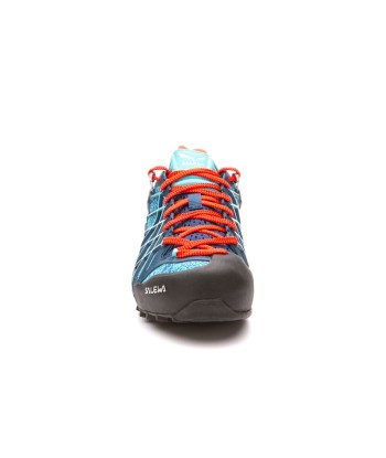 WS WILDFIRE GTX (10)