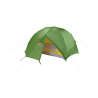 cactus green