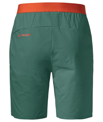 Men's Scopi LW Shorts II (8)