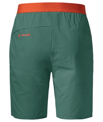 Men's Scopi LW Shorts II