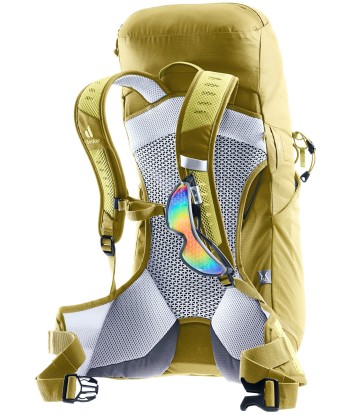 AC Lite 22 SL (2)