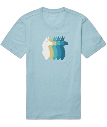 Llama Sequence Organic T-Shirt W